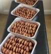 attachment-https://nandkkitchen.co.uk/wp-content/uploads/2024/12/Handesh-2-100x107.jpg